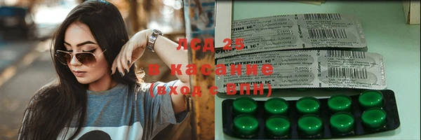 амф Гусев