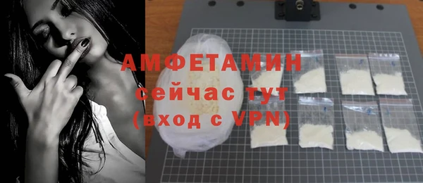 эйфоретик Гусь-Хрустальный
