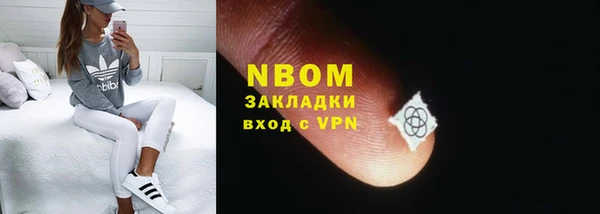 эйфоретик Гусь-Хрустальный