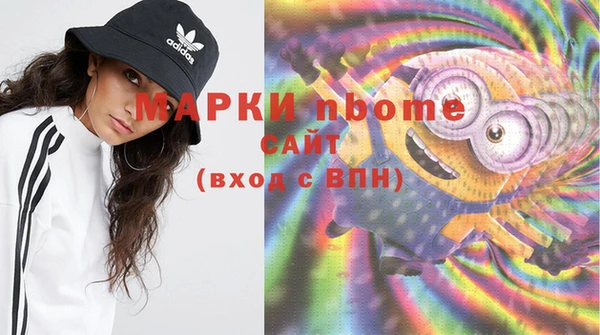 амф Гусев