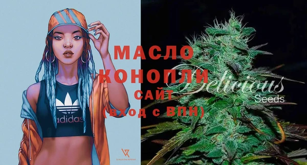 ешки Дмитриев