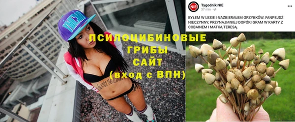 гашиш Дмитров
