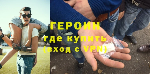 индика Горнозаводск