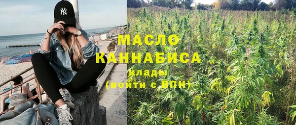 амф Гусев